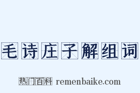 毛诗庄子解组词是什么意思的图片